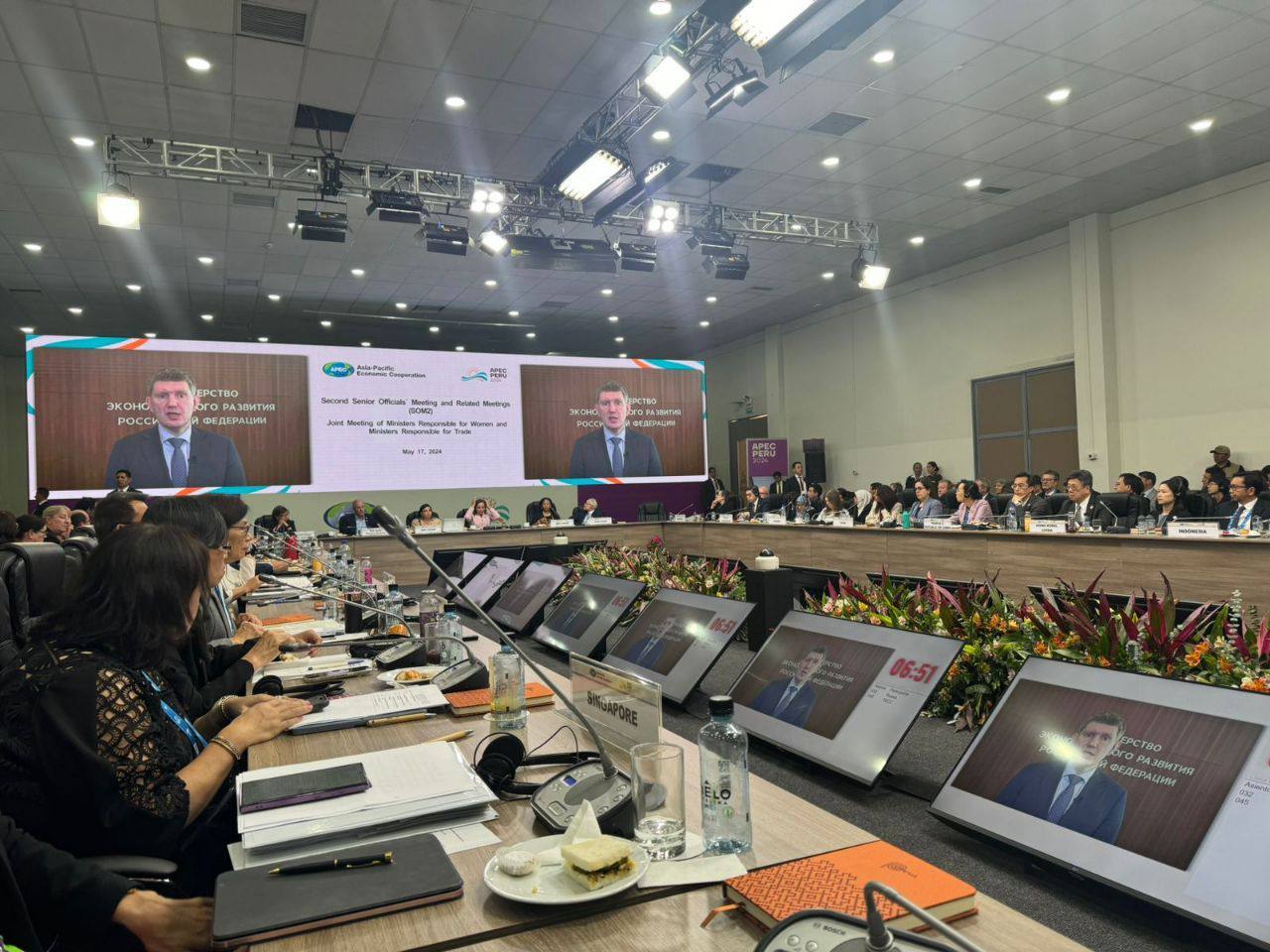 Россия на встрече АТЭС представила успешные практики поддержки женского предпринимательства
