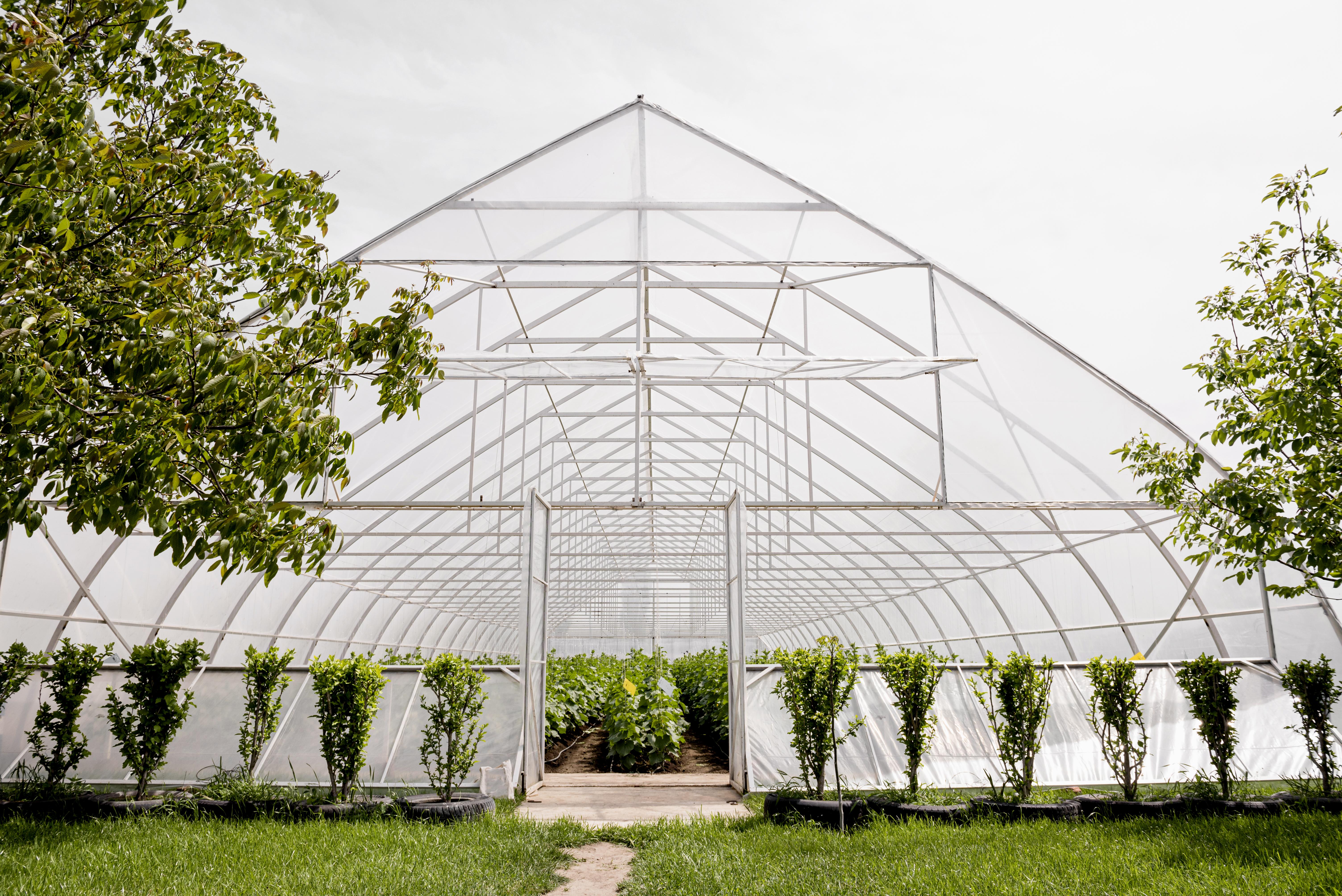 Construction of vegetable and green heaters