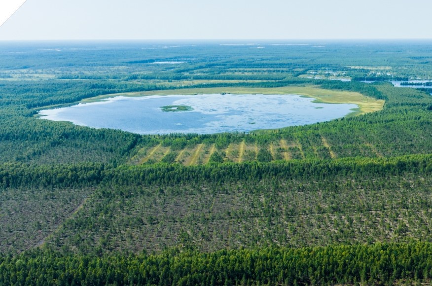 Establishment of a tourist recreational complex on the banks of Lake Danube