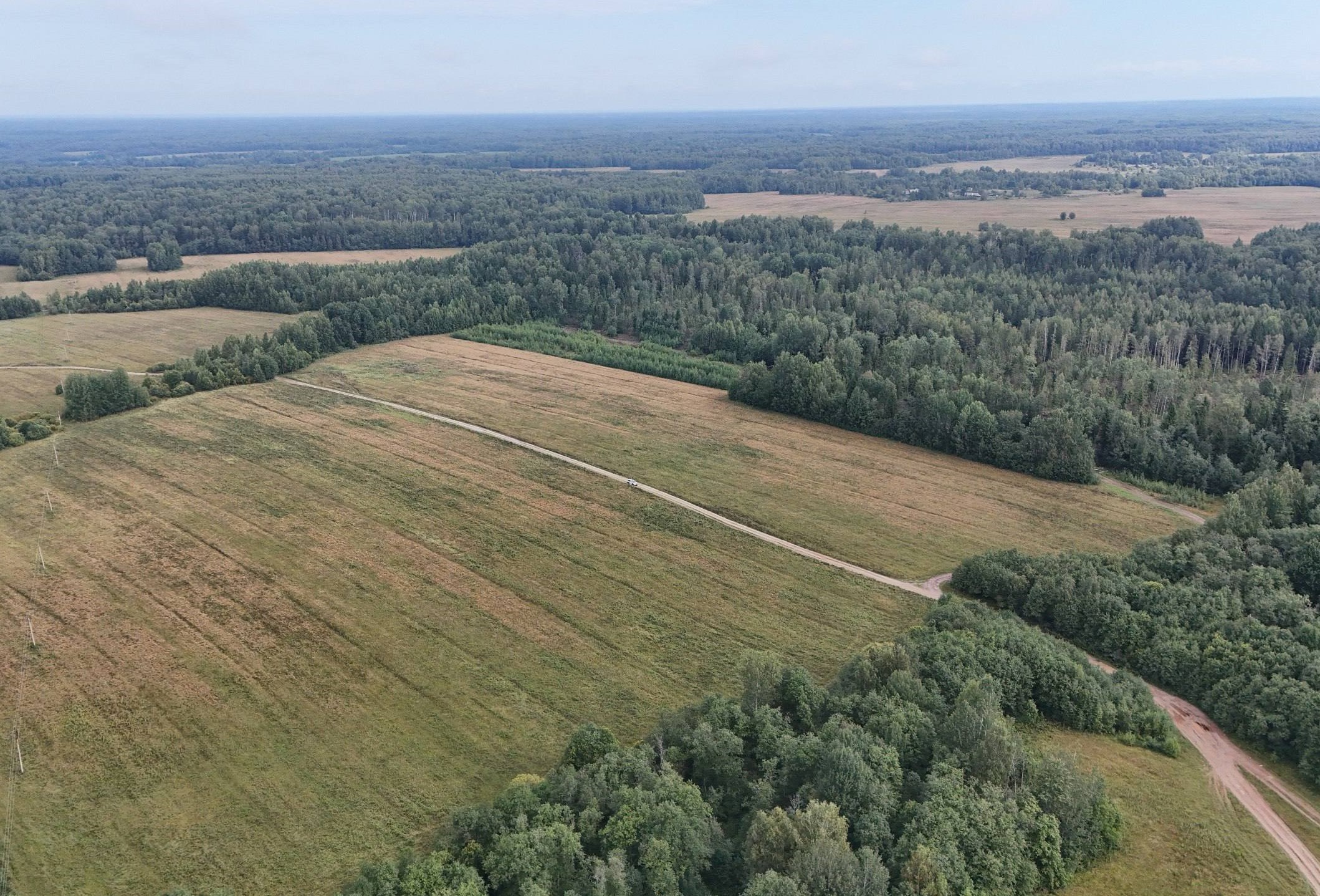 More than 9,000 hectares of land are planned to be farmed in the region next year